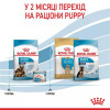 Royal Canin Maxi Starter 4 кг (2994040) - зображення 10