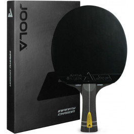   JOOLA Infinity Carbon