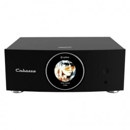   Cabasse AMP 240 S