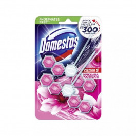   Domestos Блок для очищення унітаза  Power 5 крижана магнолія 2 х 55 г (8720182803542)