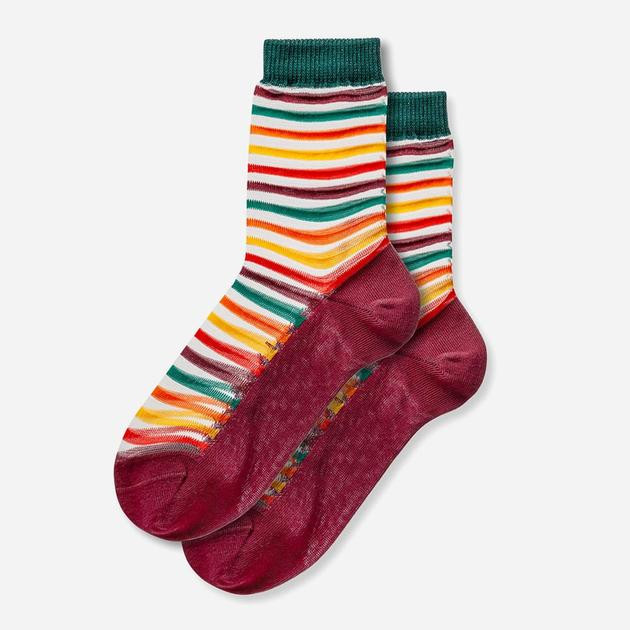 Griffon Socks Шкарпетки жіночі високі бавовняні  Прозорі Темні Смужки S (36-37) Бордовий/Зелений/Білий (ROZ6501033 - зображення 1