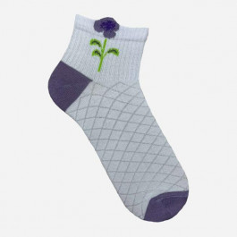   Premier Socks Набір жіночих шкарпеток коротких бавовняних  14В35-2R3D 36-40 4 пари Рожевий/Блакитний/Бузковий/Жовт