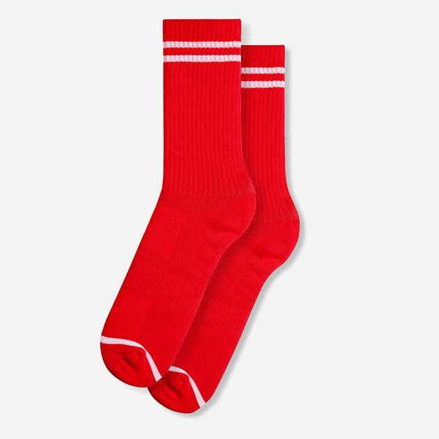 Griffon Socks Шкарпетки жіночі високі бавовняні  Port Red Stripes S (35-39) Червоні (ROZ6501033326) - зображення 1