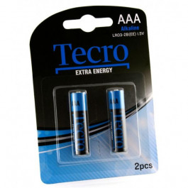   Tecro AAA bat Alkaline 2шт Extra Energy LR03-2B(EE)