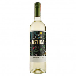   Trapiche Вино  Astica Sauvignon Blanc, біле, сухе, 13%, 0,75 л (7790240090277)