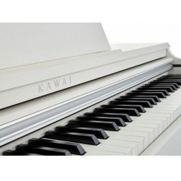   KAWAI KDP120W