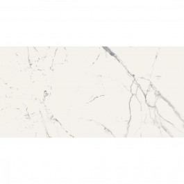   Almera Ceramica Керамогранит Carrara GQW8320P LIGHT