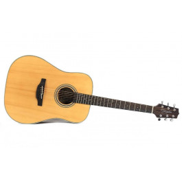   Takamine GD20-NS