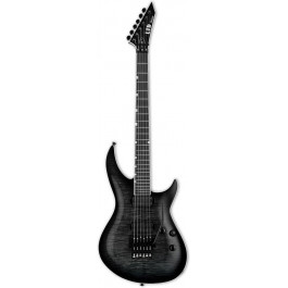   ESP LTD H3-1000FR