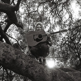    Ty Segall – Hello, Hi