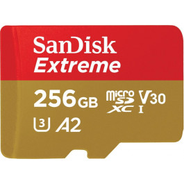   SanDisk 256 GB microSDXC UHS-I U3 V30 A2 Extreme (SDSQXAV-256G-GN6MN)