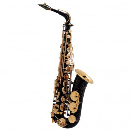   Selmer SA 80 II NG GO