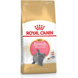   Royal Canin British Shorthair Kitten 10 кг (2566100)