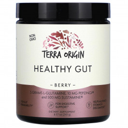   Terra Origin БАД Здоровий кишечник, Healthy Gut, , смак ягід, 243 г