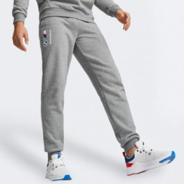   PUMA Сірі чоловічі спортивнi штани  BMW MMS ESS Pants Fleece 621302/03