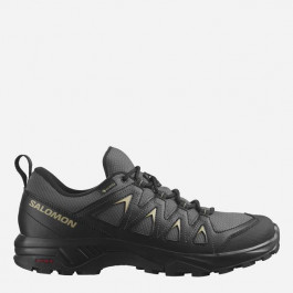   Salomon Чоловічі кросівки для трекінгу з Gore-Tex  X Braze Gtx L47180500 44 (9.5UK) 28 см Сірі (195751267502