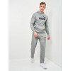 PUMA Спортивні штани  ESS Logo Pants 58671803 L Medium Gray Heather (4063697287662) - зображення 1