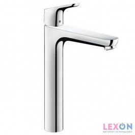   Hansgrohe Focus 31532000