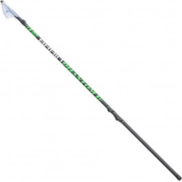   Brain Phantom Pole / 5.80m 0-7g