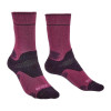 Bridgedale Шкарпетки  Hike MW Performance Boot Wmn Original Berry/Plum S (1053-710644.352.S) - зображення 1