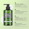 KUNDAL Шампунь для волосся  Tea Tree & Macadamia Deep Cleansing Shampoo Cherry Blossom проти лупи з аромато - зображення 3