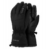 Trekmates Рукавиці  Chamonix GTX Glove XXL Чорний (1054-015.1314) - зображення 1