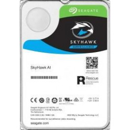   Seagate SkyHawk AI 10 TB (ST10000VE0008)