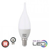 Horoz Electric LED CRAFT-8 8W E14 6400К (001-004-0008-010) - зображення 1