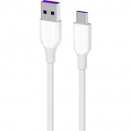   2E USB 2.0 to Type-C 1m Glow White (2E-CCAC-WH)