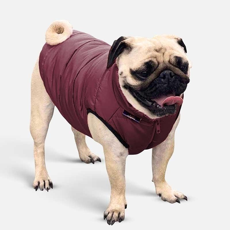 Noble Pet (Нобл Пет) Scotty - Куртка для собак (бордо) 2XL (40-44 см) (S4122/2XL) - зображення 1