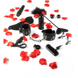   Toy Joy Набор Amazing Pleasure Sex Toy Kit (TOY10078)