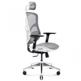   Diablo Chairs V-Basic white/grey