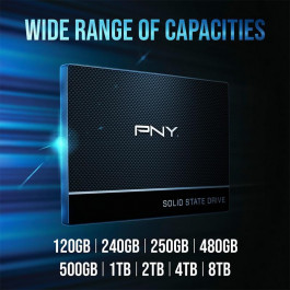   PNY CS900 2 TB (SSD7CS900-2TB-RB)