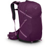 Osprey Sportlite 25 / M/L Aubergine Purple (10004436) - зображення 1