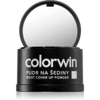 Colorwin Powder пудра для волосся для об'єму й зафарбовування сивини відтінок Black 3,2 гр - зображення 1