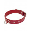 Slash Dominant Collar, red (SL280167) - зображення 1