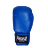 PowerPlay Боксерские перчатки 3004 14oz Blue (PP_3004_14oz_Blue) - зображення 2