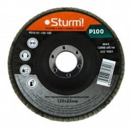   Sturm 125xP100 (9010-01-125-100)