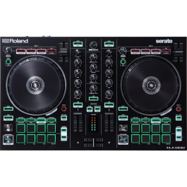   Roland DJ-202