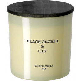   Cereria Molla Аромасвічка  Premium Black Orchid & Lily 230 г (8424405055434)