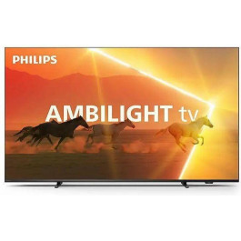   Philips 55PML9008/12