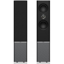   Tannoy Platinum F6 Black