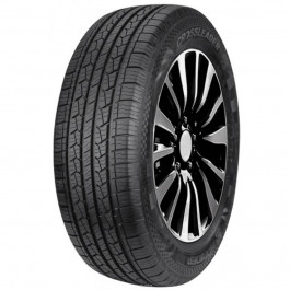   DoubleStar DS01 (255/55R20 110V)