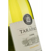 Tarapaca Вино  Chardonnay Leon de  біле сухе 0.75 л 13% (7804340901545) - зображення 3