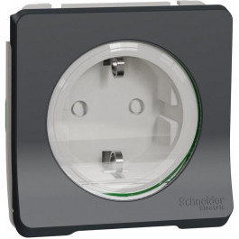   Schneider Electric Mureva Styl с заземлением и шторками IP55 черный (MUR36134)