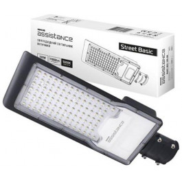   MAXUS LED assistance Street Basic 100W 850 GR (MAST-BSC-100-GR)