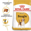 Royal Canin Beagle Adult 3 кг (2106030) - зображення 7