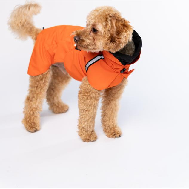 Noble Pet Дощовик  Rio Orange R4136/M - зображення 1