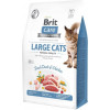 Brit Care Large cats Power & Vitality 0.4 кг (171311/0921) - зображення 1