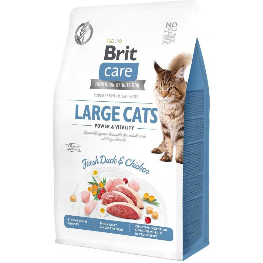 Brit Care Large cats Power & Vitality 0.4 кг (171311/0921) - зображення 1